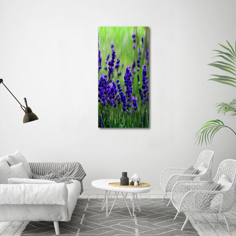Lavender Field - Wrapped Canvas Print