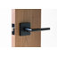 Alpine Lever 78 avec rose carré-125036272-105423990
