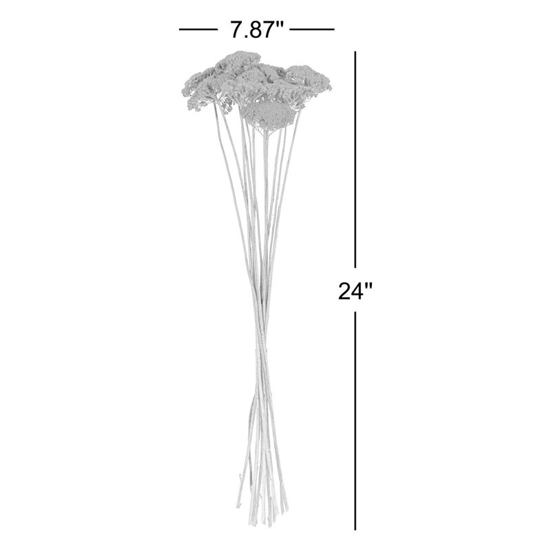Vickerman 26" Dried Yarrow Achillea Parker Bunch, 3 oz. This is a natural product, dimensions and color may vary plant to plant.