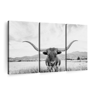 Animal " Longhorn Texas BW " 3 - Pieces