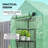 Hobby Greenhouse-98262115-98262118