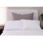 Orlana Sham-577345128