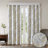 Curtains-426163067