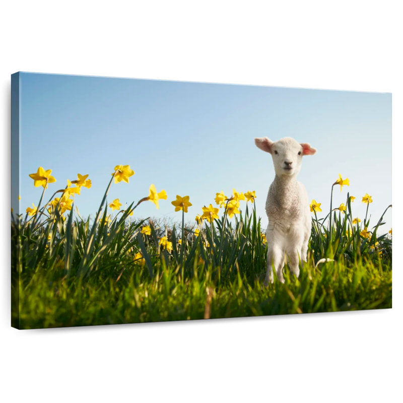 Brampt Springtime Lamb, 32" H x 48" W