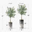 Arbre artificiel dans un pot de fleurs moderne, faux arbre en soie d'eucalyptus (décoration en pot et arbre)