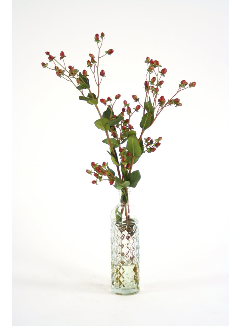 Hypericum Berries Arrangement Primrue