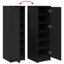 6 Pair Shoe Storage Cabinet