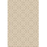 Ivory/Cream