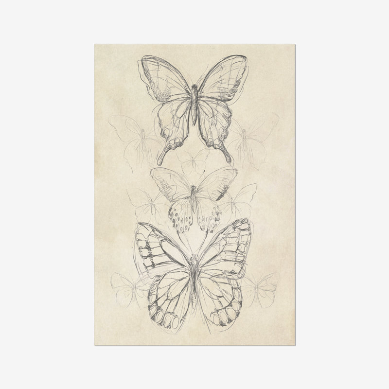 Vintage Butterfly II by June Erica Vess - Print, 30cm H x 20cm W, Wrapped Canvas