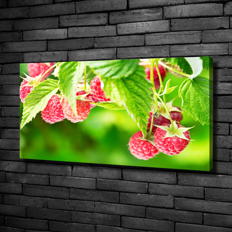 Raspberries in the Garden 1 Piece Wrapped Canvas Wall Art