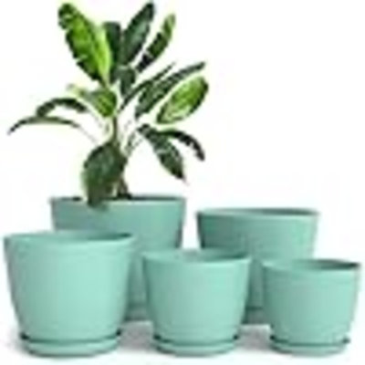 Pots de plantes d'intérieur avec drainage - pots de fleurs 7 / 6,6 / 6 / 5,3 / 4,8 pouces pour pot de fleurs d'intérieur - paquet de 5 jardinières en plastique - idéal pour les bas de Noël ou les décorations de Noël à la maison
