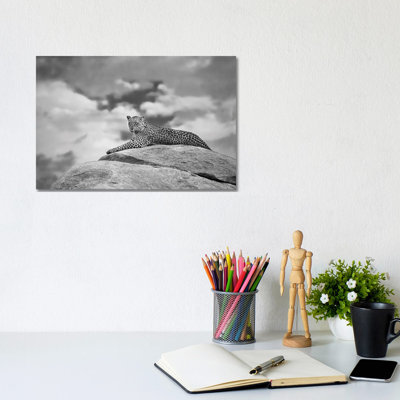 Leopard on a Kopje 1 Piece Wall Art on Canvas