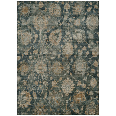 Machine Washable Indoor/Outdoor Chantille ACN2528 Traditional Rug