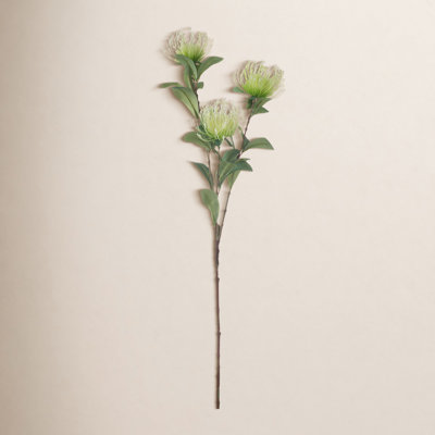 Protea Floral Stems