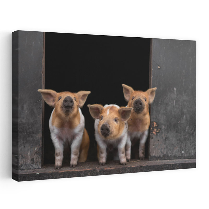 «Three Curious Piglets Rustic Abstract Contemporary Animal Portrait», reproduction d'art, H 12 po x l 18 po
