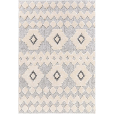 Southwestern Indoor Rug