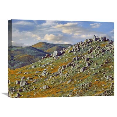 California Poppy Flowers in Rocky Grassland, Canyon Hills, Santa Ana Mountains, California' Photographic Print on Wrapped Canvas -  East Urban Home, 7A64A2025A394864B2A1E6C0990B1A47