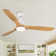 Jaustin 52'' Ceiling Fan with LED Lights