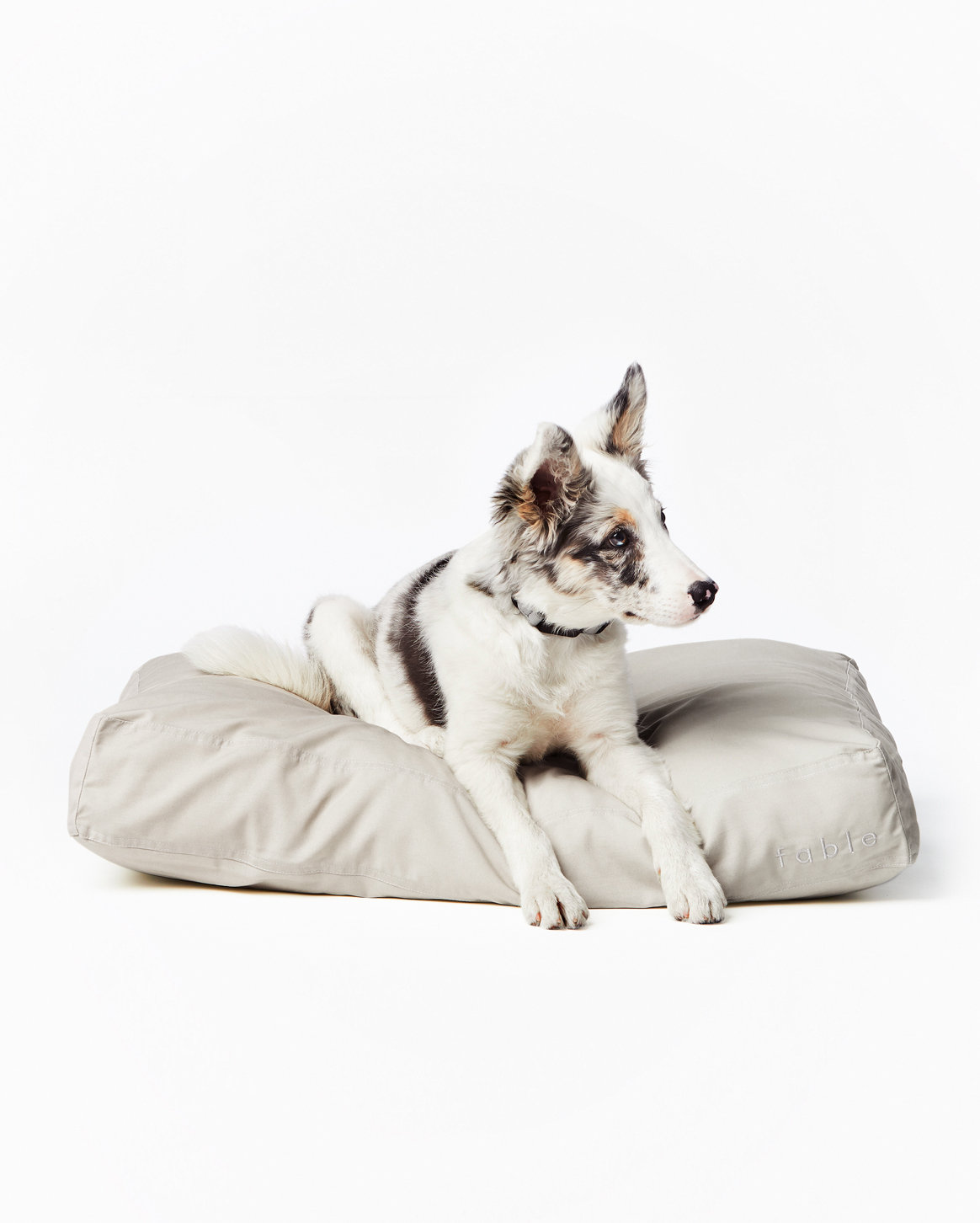 Signature Pillow/Classic Bed Fable Pets Tofu Small (18 W x 24 D x 4 H)