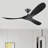 Black Soild Wood Ceiling Fan-1402083509