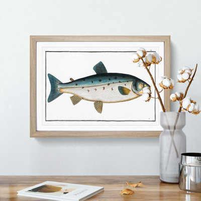 Salmon Fish by M.E. Bloch - Framed Print