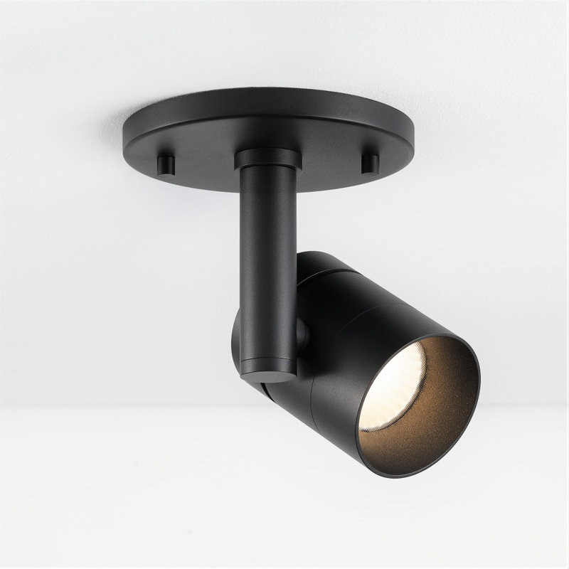Black Adjustable LED Flush Mount Spotlight with Aluminum Shade