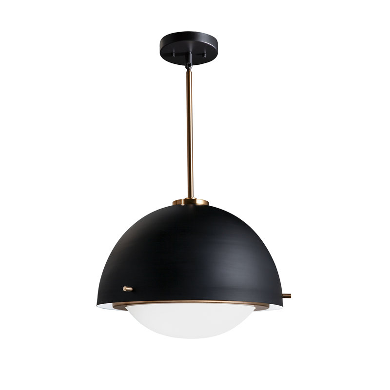 Luminaire suspendu en dôme unique à 2 lumières Biola