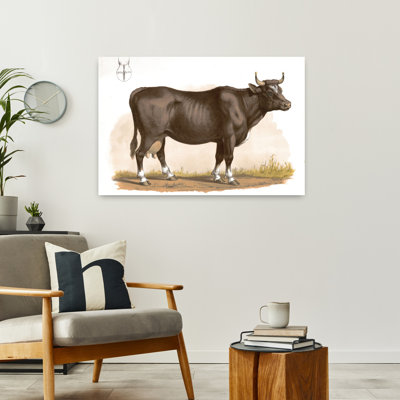 Clarabelle, art contemporain de la vache
