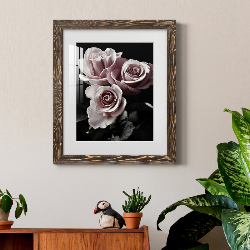 Rose noire I - photographie, Papier, cadre noyer, H 44 po x l 31 po x P 1 po