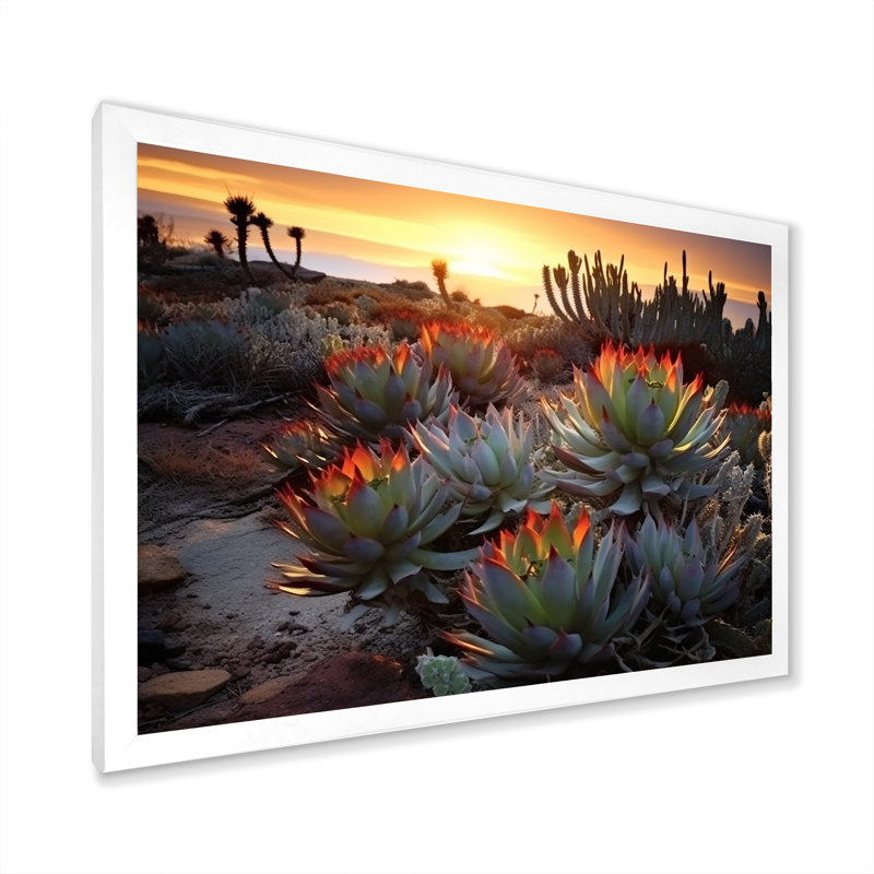 «Succulent Desert Cactus Field Burning Sunset III» - Art mural succulent, H 34 po x l 44 po x P 1,5 po, Cadre simple blanc