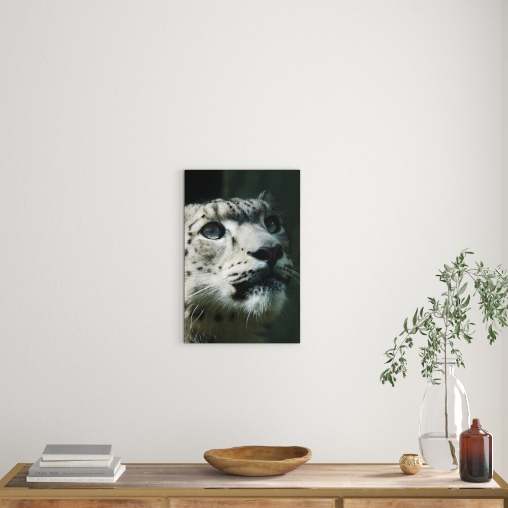 Leinwandbild Leopard, Fotodruck