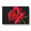 Red Rose Flower Vol.4 - Wrapped Canvas-61837128
