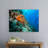 Orange Coral in a Reef-718884718