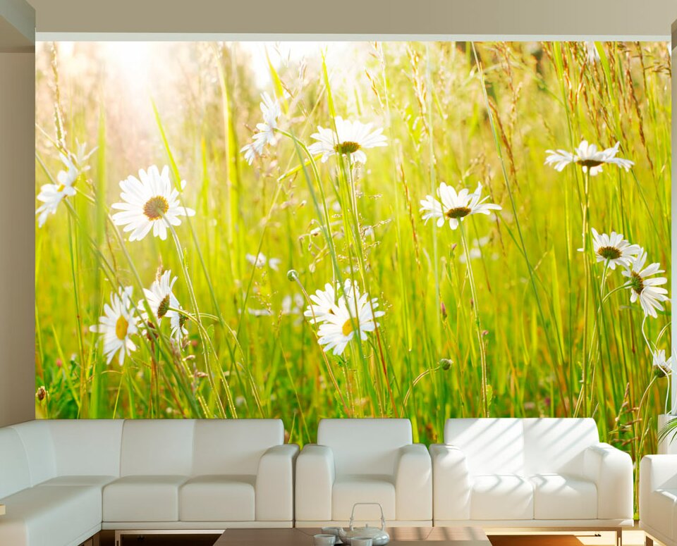 Fototapete Frühlingsweide mit Gänseblumen 270 cm x 350 cm