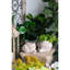 Jardinière sable et ciment avec finition beige texturée 9,5 po x 8,3 po x 6 po, convient aux arrangements de plantes grasses