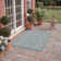Amedee Performance Solid Color Indoor/Outdoor Area Rug