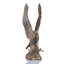 Mountaintop Eagle