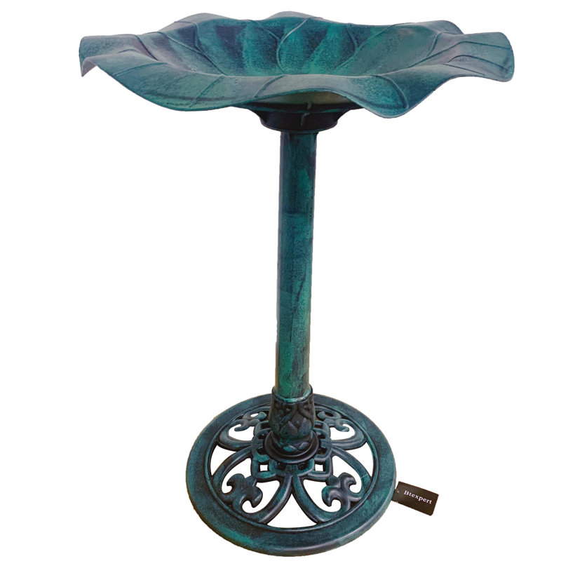 Bain d’oiseaux aideen, Turquoise