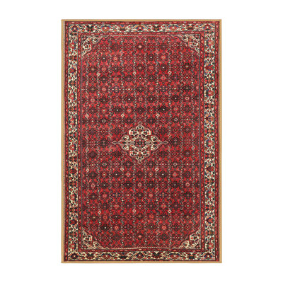 Tapis oriental noir / rouge