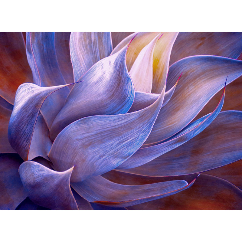 Wrapped Canvas Print, 81.28 cm H x 121.92 cm W