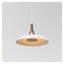 Volo 24" LED Pendant-64301599-64301602