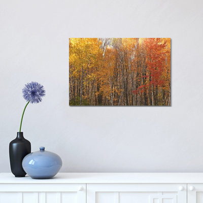 Stand of Color 1 Piece Wrapped Canvas Wall Art