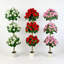 150cm Plant