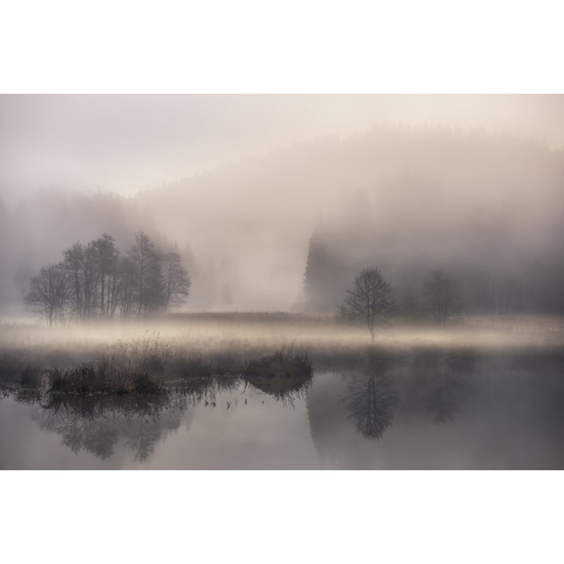 Wrapped Canvas Print, 50.8 cm H x 76.2 cm W