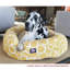 Fusion et sherpa bagel beignet-35291663-35291660