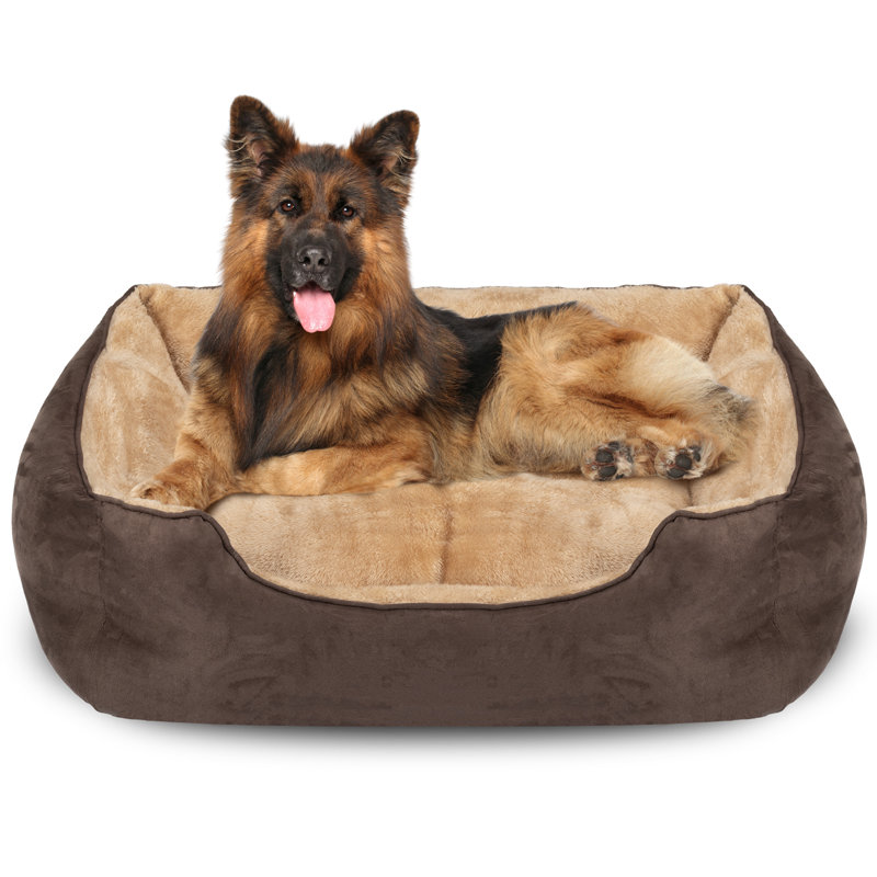 Lit pour chien, H 9 po x l 30 po x P 24 po, Marron foncé