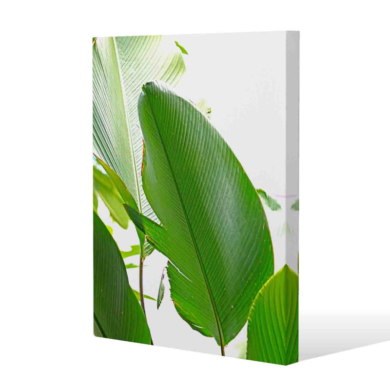 Green Leaf by Andrew Lee - Wrapped Canvas Print, 152cm H x 101cm W x 4cm D
