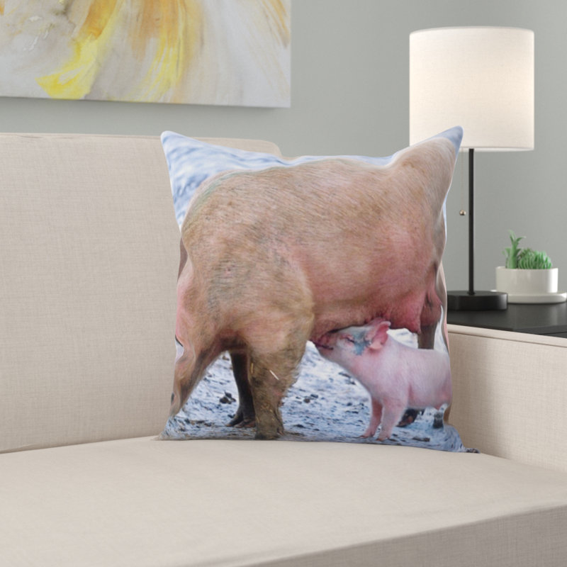 Coussin de porc