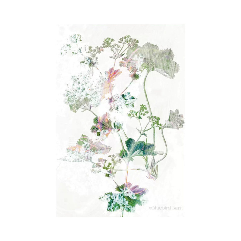 Boho Geranium Botanical by Bluebird Barn - Wrapped Canvas Painting, 20.32 cm H x 30.48 cm W