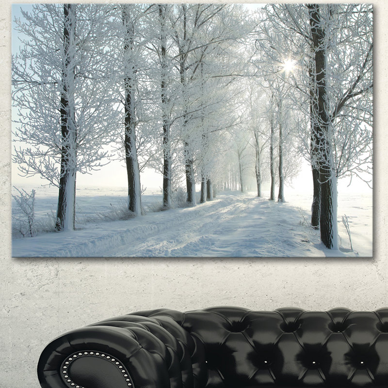 Landscape Winter Trees Backlit Morning Sun Canvas Photograph - Winter Trees, 30" H x 40" W x 1" D